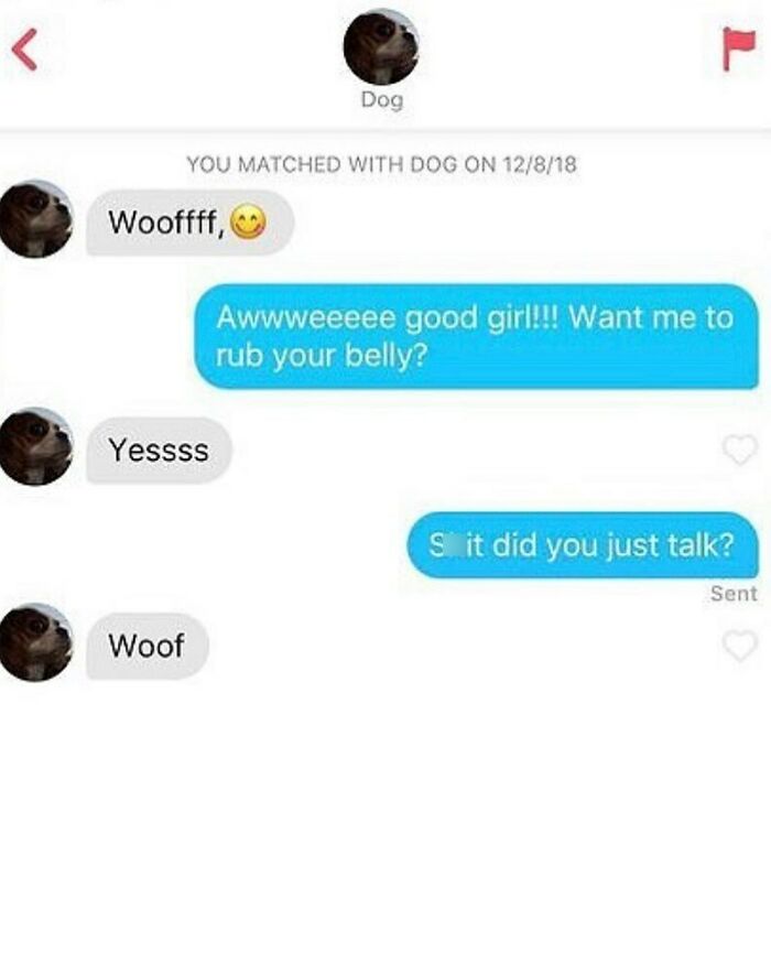 93 Dating App Conversations That Went Off The Rails Almost Immediately