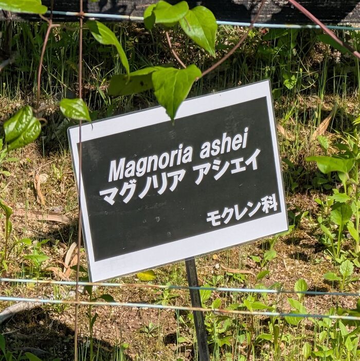 98 Hilarious Examples Of Getting Lost In Translation That People Saw In Japan (New Pics) 98 Hilarious Examples Of Getting Lost In Translation That People Saw In Japan (New Pics)