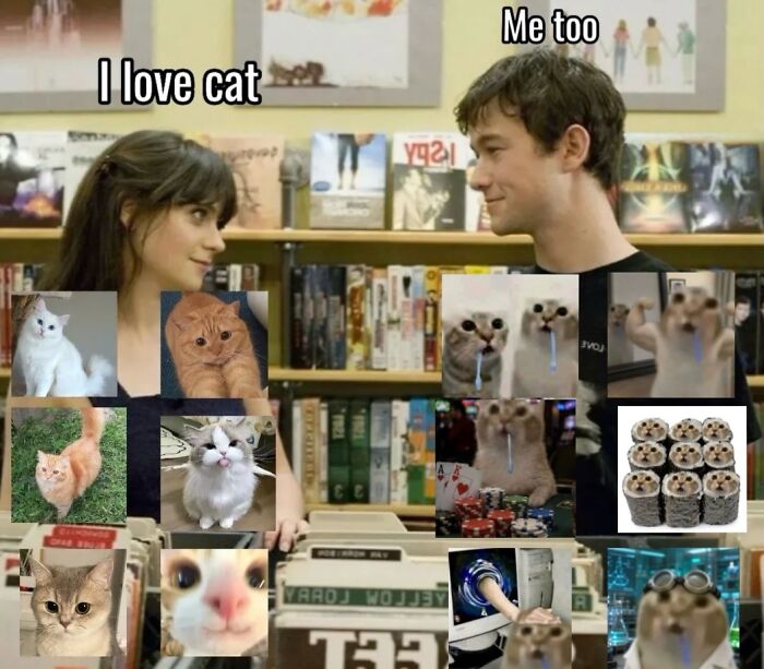 ‘Soft Cat Memes’: 42 Cute And Hilarious Pics for Your Daily Dose Of Feline Fun (New Pics) ‘Soft Cat Memes’: 42 Cute And Hilarious Pics for Your Daily Dose Of Feline Fun (New Pics)