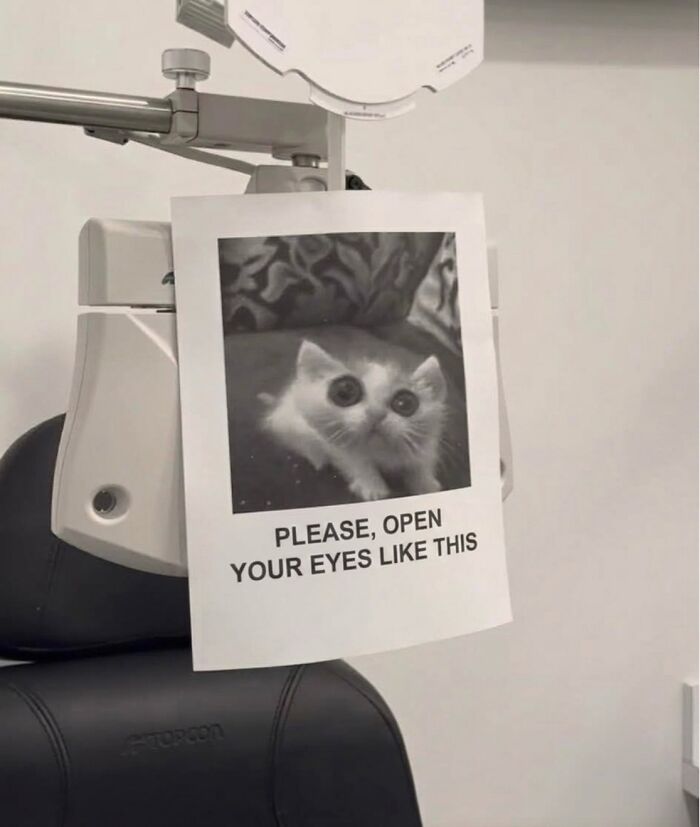 ‘Soft Cat Memes’: 42 Cute And Hilarious Pics for Your Daily Dose Of Feline Fun (New Pics) ‘Soft Cat Memes’: 42 Cute And Hilarious Pics for Your Daily Dose Of Feline Fun (New Pics)