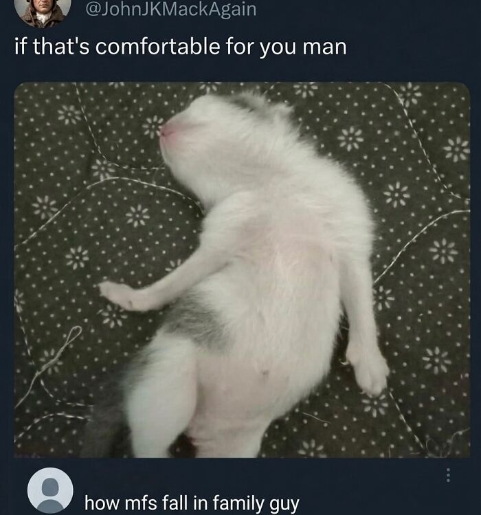 ‘Soft Cat Memes’: 42 Cute And Hilarious Pics for Your Daily Dose Of Feline Fun (New Pics) ‘Soft Cat Memes’: 42 Cute And Hilarious Pics for Your Daily Dose Of Feline Fun (New Pics)
