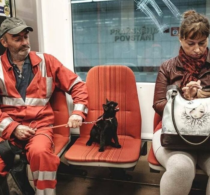 64 Animals Caught On Camera Being Cute, Funny, And Completely Unbothered, As Shared By This Community 64 Animals Caught On Camera Being Cute, Funny, And Completely Unbothered, As Shared By This Community