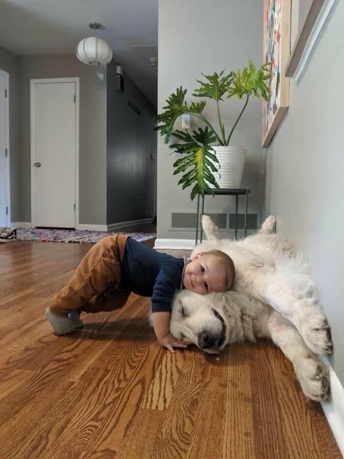 64 Animals Caught On Camera Being Cute, Funny, And Completely Unbothered, As Shared By This Community 64 Animals Caught On Camera Being Cute, Funny, And Completely Unbothered, As Shared By This Community