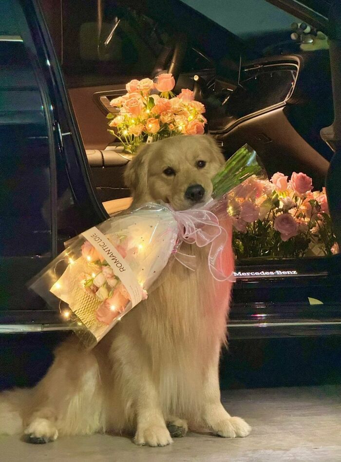 64 Animals Caught On Camera Being Cute, Funny, And Completely Unbothered, As Shared By This Community 64 Animals Caught On Camera Being Cute, Funny, And Completely Unbothered, As Shared By This Community