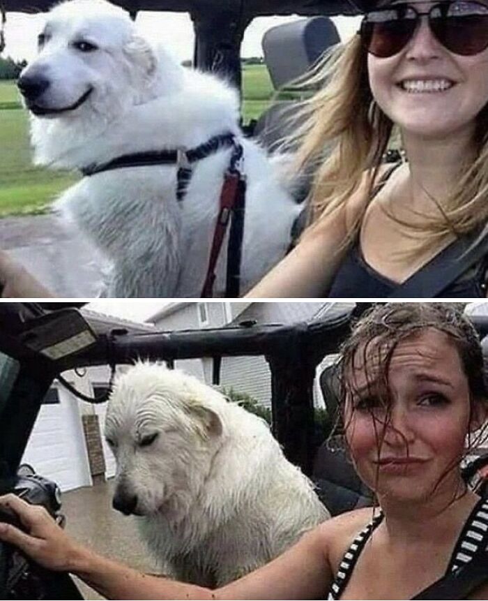 64 Animals Caught On Camera Being Cute, Funny, And Completely Unbothered, As Shared By This Community 64 Animals Caught On Camera Being Cute, Funny, And Completely Unbothered, As Shared By This Community