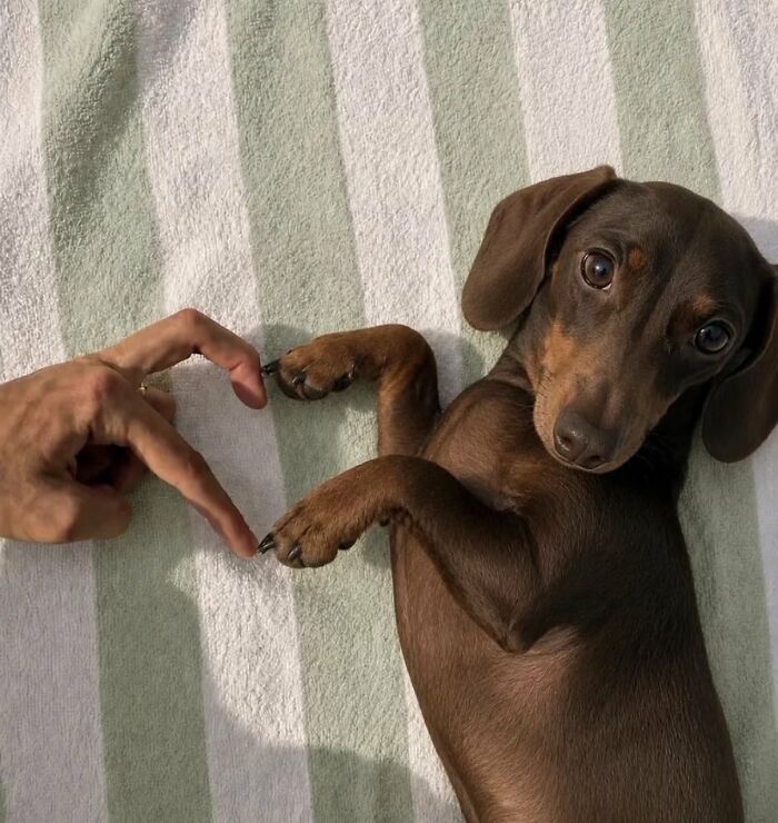 64 Animals Caught On Camera Being Cute, Funny, And Completely Unbothered, As Shared By This Community 64 Animals Caught On Camera Being Cute, Funny, And Completely Unbothered, As Shared By This Community