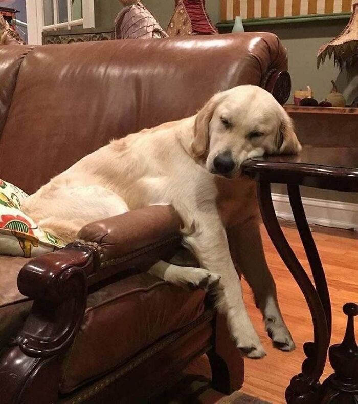 64 Animals Caught On Camera Being Cute, Funny, And Completely Unbothered, As Shared By This Community 64 Animals Caught On Camera Being Cute, Funny, And Completely Unbothered, As Shared By This Community