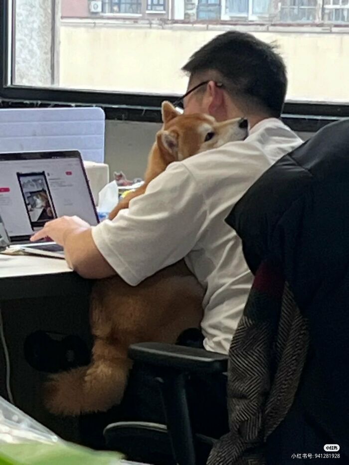 64 Animals Caught On Camera Being Cute, Funny, And Completely Unbothered, As Shared By This Community 64 Animals Caught On Camera Being Cute, Funny, And Completely Unbothered, As Shared By This Community