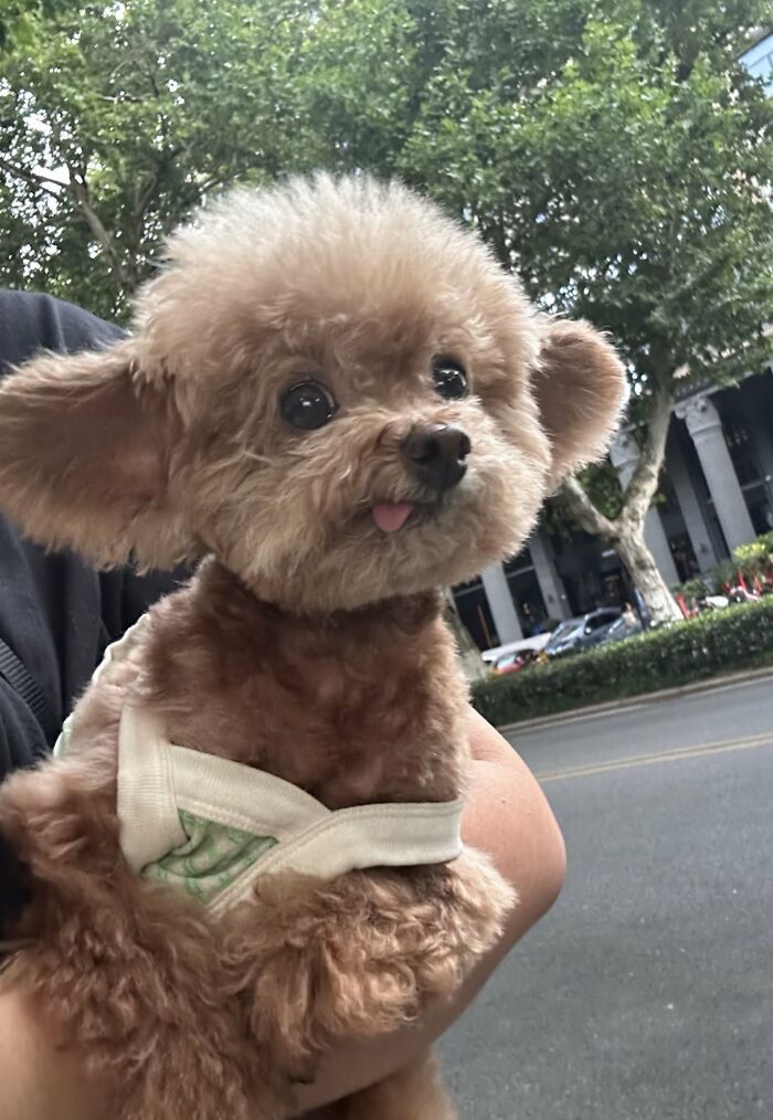 64 Animals Caught On Camera Being Cute, Funny, And Completely Unbothered, As Shared By This Community 64 Animals Caught On Camera Being Cute, Funny, And Completely Unbothered, As Shared By This Community