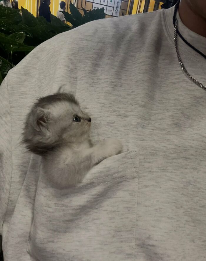64 Animals Caught On Camera Being Cute, Funny, And Completely Unbothered, As Shared By This Community 64 Animals Caught On Camera Being Cute, Funny, And Completely Unbothered, As Shared By This Community