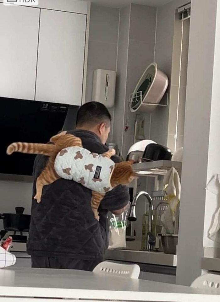 64 Animals Caught On Camera Being Cute, Funny, And Completely Unbothered, As Shared By This Community 64 Animals Caught On Camera Being Cute, Funny, And Completely Unbothered, As Shared By This Community