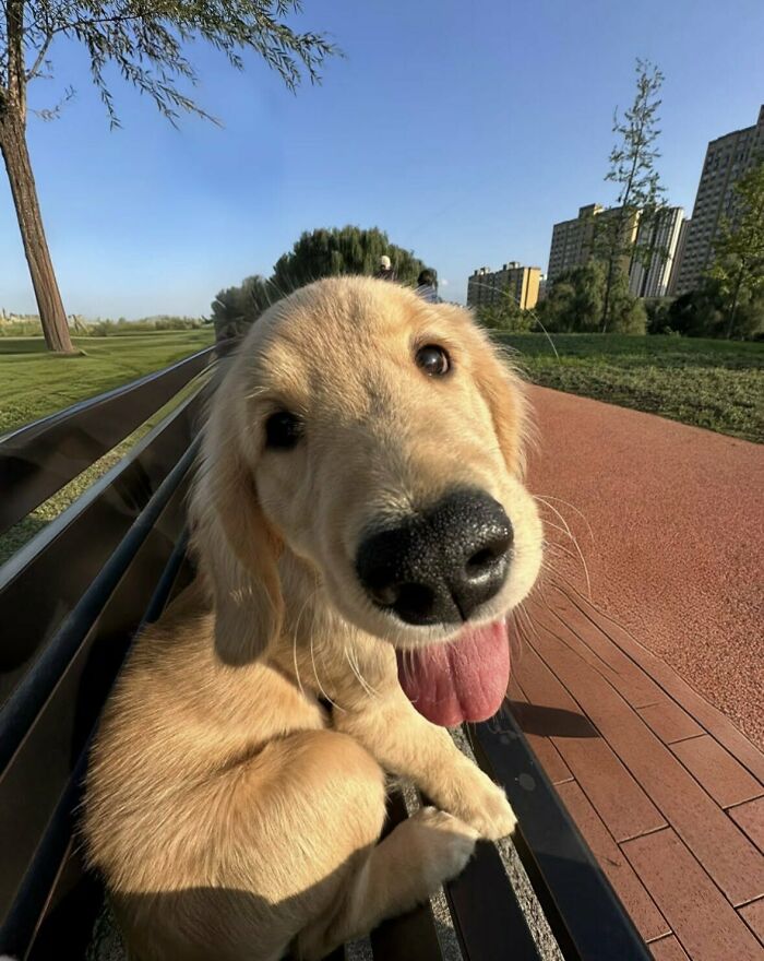 64 Animals Caught On Camera Being Cute, Funny, And Completely Unbothered, As Shared By This Community 64 Animals Caught On Camera Being Cute, Funny, And Completely Unbothered, As Shared By This Community
