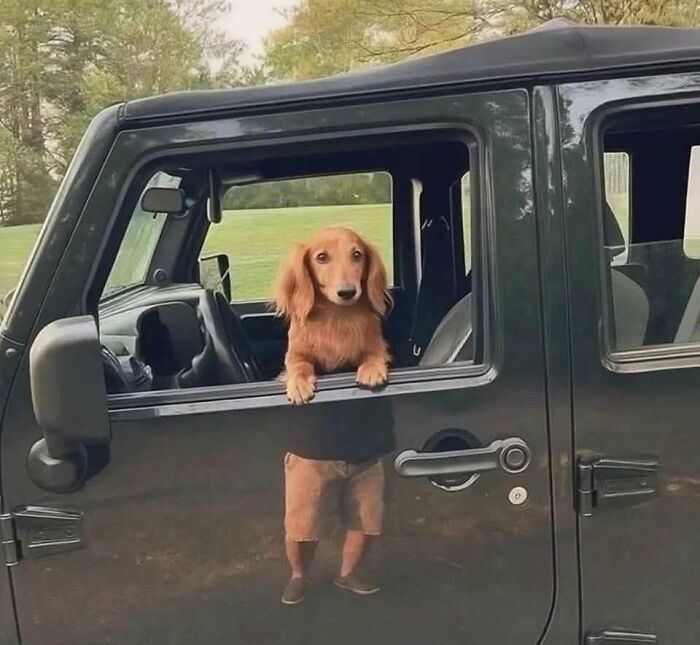 64 Animals Caught On Camera Being Cute, Funny, And Completely Unbothered, As Shared By This Community 64 Animals Caught On Camera Being Cute, Funny, And Completely Unbothered, As Shared By This Community