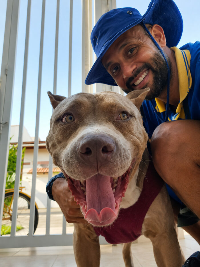 This Kind Mailman Stops To Befriend Dogs During His Deliveries, And It Might Melt Your Heart (24 New Pics) This Kind Mailman Stops To Befriend Dogs During His Deliveries, And It Might Melt Your Heart (24 New Pics)