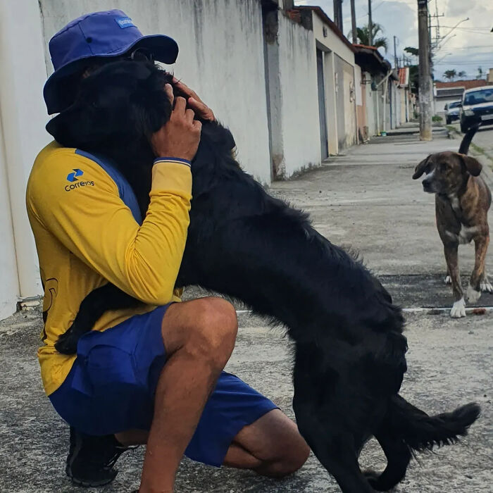 This Kind Mailman Stops To Befriend Dogs During His Deliveries, And It Might Melt Your Heart (24 New Pics) This Kind Mailman Stops To Befriend Dogs During His Deliveries, And It Might Melt Your Heart (24 New Pics)