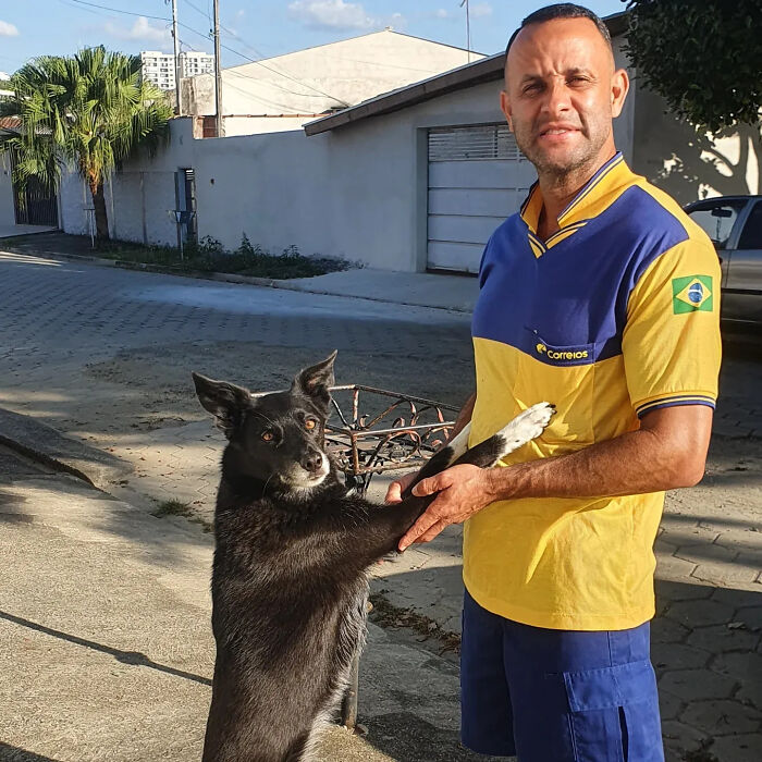 This Kind Mailman Stops To Befriend Dogs During His Deliveries, And It Might Melt Your Heart (24 New Pics) This Kind Mailman Stops To Befriend Dogs During His Deliveries, And It Might Melt Your Heart (24 New Pics)