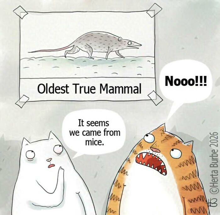50 Comics And Illustrations By Herta Burbė That Might Brighten Up Your Day (New Pics) 50 Comics And Illustrations By Herta Burbė That Might Brighten Up Your Day (New Pics)