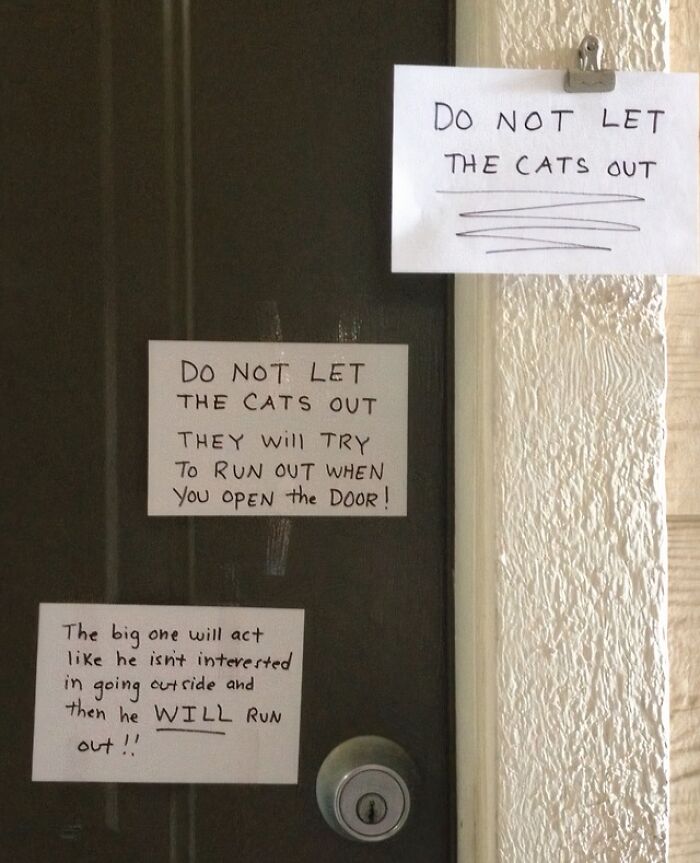 40 Passive-Aggressive Notes From Neighbors Who Decided Knocking On The Door Was Far Too Civil 40 Passive-Aggressive Notes From Neighbors Who Decided Knocking On The Door Was Far Too Civil