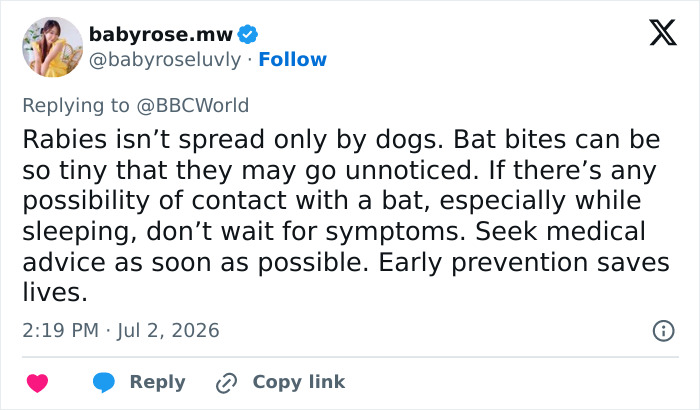 11-Year-Old Canadian Boy Tragically Loses His Life After Being Woken Up By A Bat On His Face 11-Year-Old Canadian Boy Tragically Loses His Life After Being Woken Up By A Bat On His Face