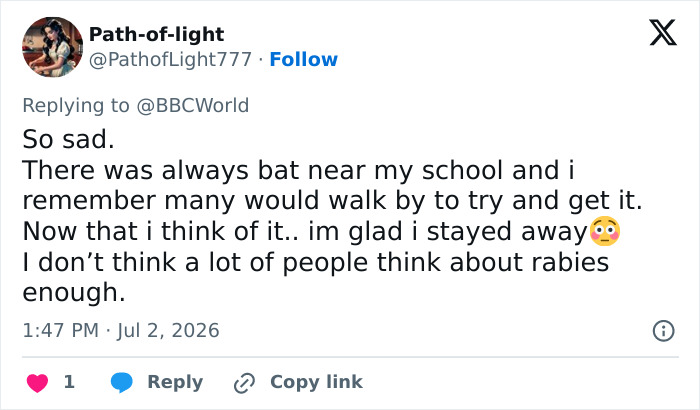 11-Year-Old Canadian Boy Tragically Loses His Life After Being Woken Up By A Bat On His Face 11-Year-Old Canadian Boy Tragically Loses His Life After Being Woken Up By A Bat On His Face