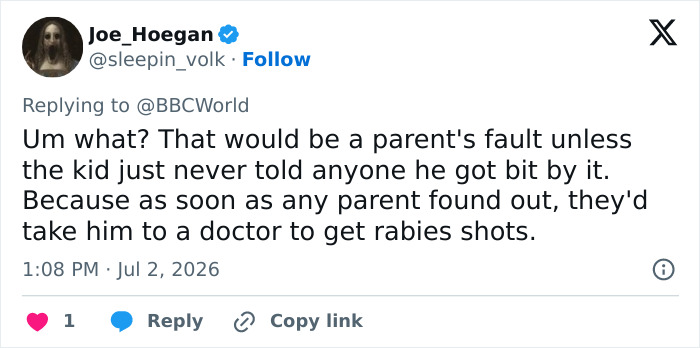 11-Year-Old Canadian Boy Tragically Loses His Life After Being Woken Up By A Bat On His Face 11-Year-Old Canadian Boy Tragically Loses His Life After Being Woken Up By A Bat On His Face