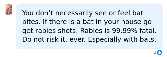 11-Year-Old Canadian Boy Tragically Loses His Life After Being Woken Up By A Bat On His Face 11-Year-Old Canadian Boy Tragically Loses His Life After Being Woken Up By A Bat On His Face
