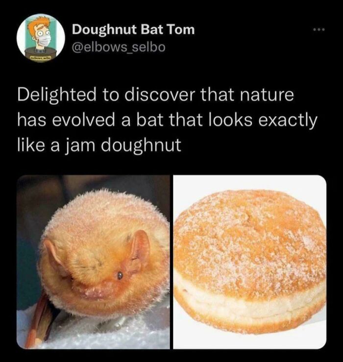 79 Funny And Completely Unpredictable Sentences That Caught The Internet Off Guard (New Pics) 79 Funny And Completely Unpredictable Sentences That Caught The Internet Off Guard (New Pics)