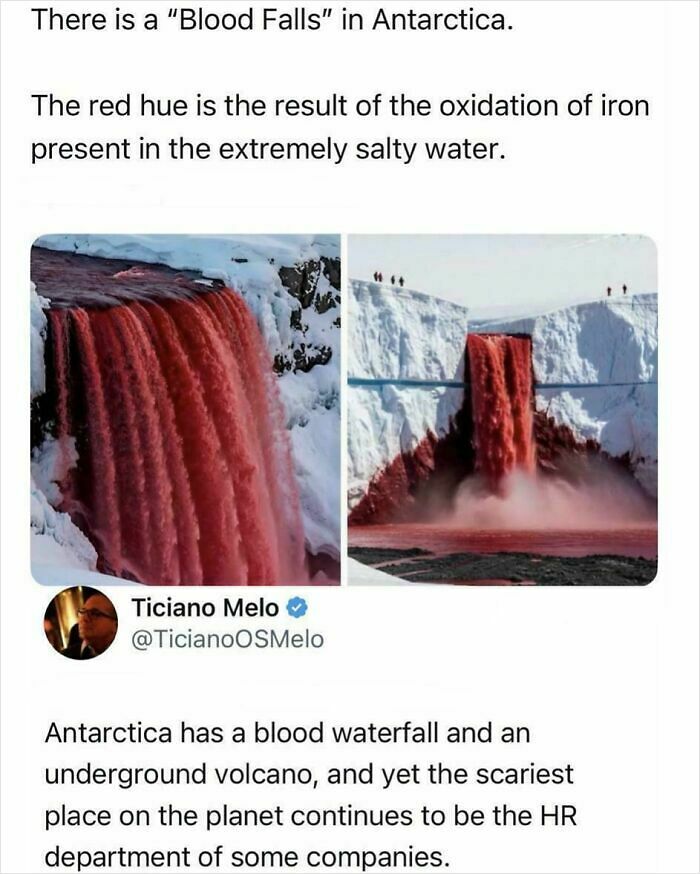79 Funny And Completely Unpredictable Sentences That Caught The Internet Off Guard (New Pics) 79 Funny And Completely Unpredictable Sentences That Caught The Internet Off Guard (New Pics)