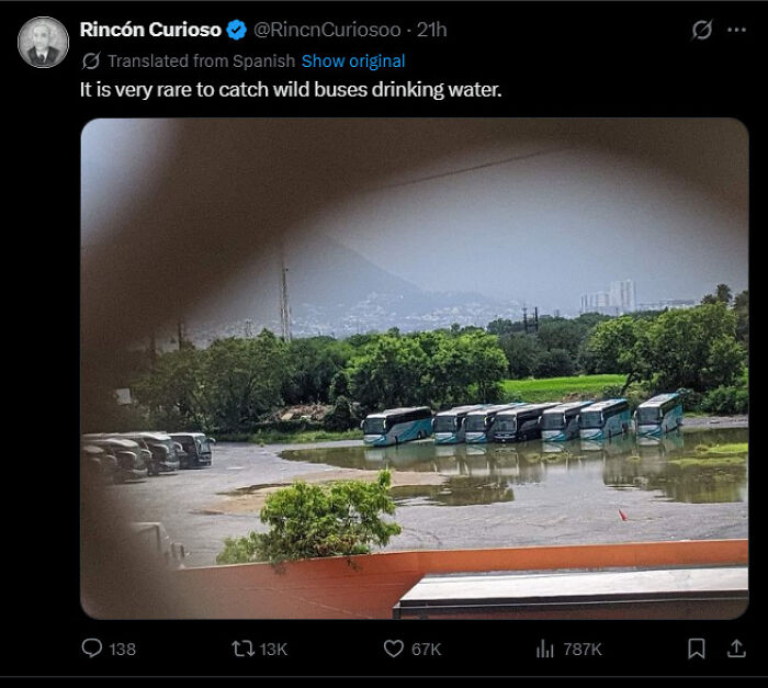 79 Funny And Completely Unpredictable Sentences That Caught The Internet Off Guard (New Pics) 79 Funny And Completely Unpredictable Sentences That Caught The Internet Off Guard (New Pics)