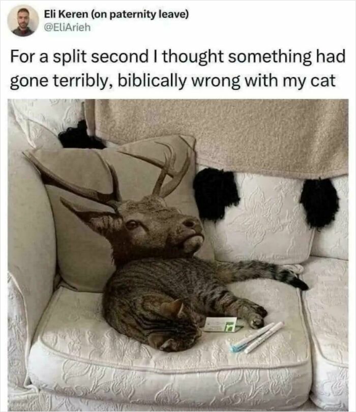 79 Funny And Completely Unpredictable Sentences That Caught The Internet Off Guard (New Pics) 79 Funny And Completely Unpredictable Sentences That Caught The Internet Off Guard (New Pics)