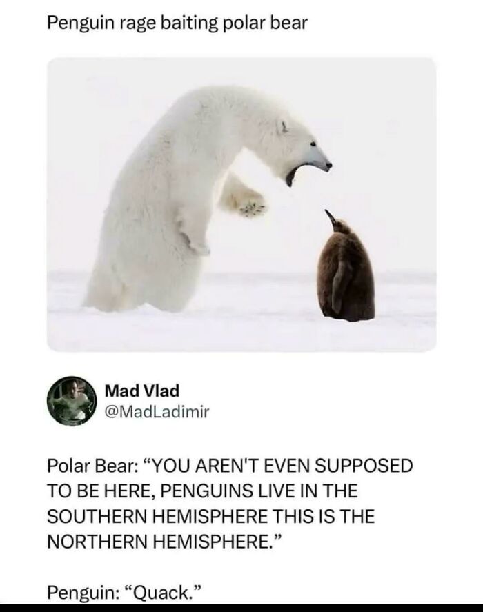79 Funny And Completely Unpredictable Sentences That Caught The Internet Off Guard (New Pics) 79 Funny And Completely Unpredictable Sentences That Caught The Internet Off Guard (New Pics)