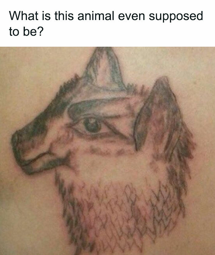 47 Hilarious Tattoo Memes And Fails For Everyone Who See Their Body As A Canvas 47 Hilarious Tattoo Memes And Fails For Everyone Who See Their Body As A Canvas