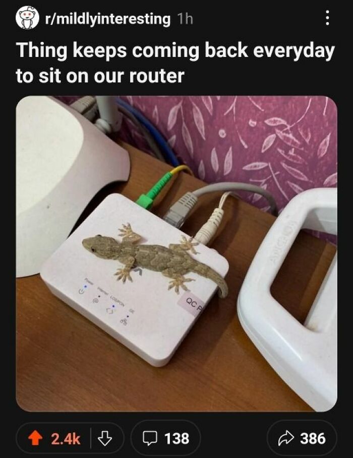 62 Random Posts You Might Find Funny If Your Sense Of Humor Is Broken 62 Random Posts You Might Find Funny If Your Sense Of Humor Is Broken
