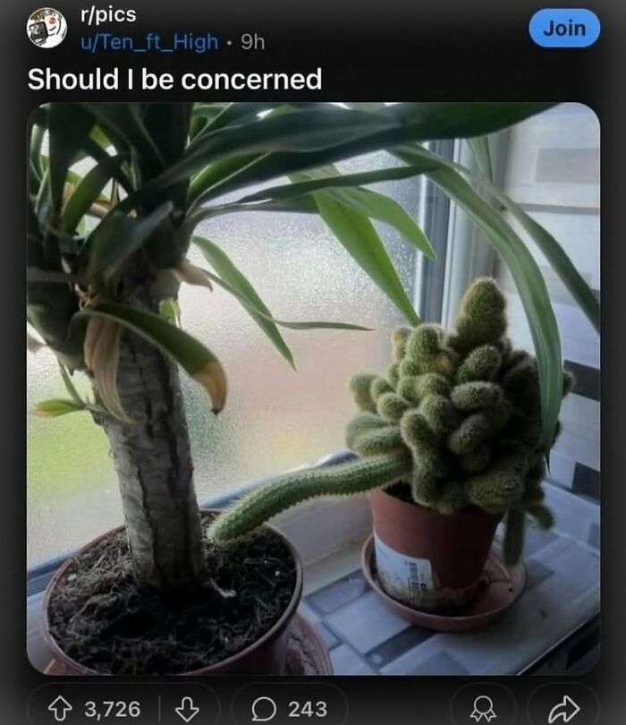 62 Random Posts You Might Find Funny If Your Sense Of Humor Is Broken 62 Random Posts You Might Find Funny If Your Sense Of Humor Is Broken