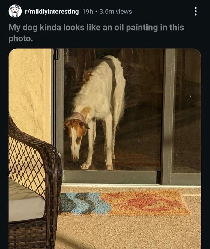 62 Random Posts You Might Find Funny If Your Sense Of Humor Is Broken 62 Random Posts You Might Find Funny If Your Sense Of Humor Is Broken