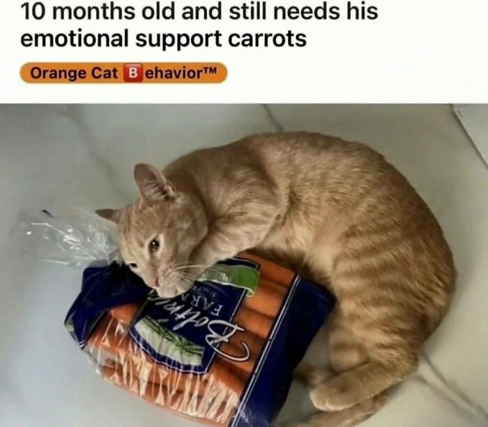 62 Random Posts You Might Find Funny If Your Sense Of Humor Is Broken 62 Random Posts You Might Find Funny If Your Sense Of Humor Is Broken