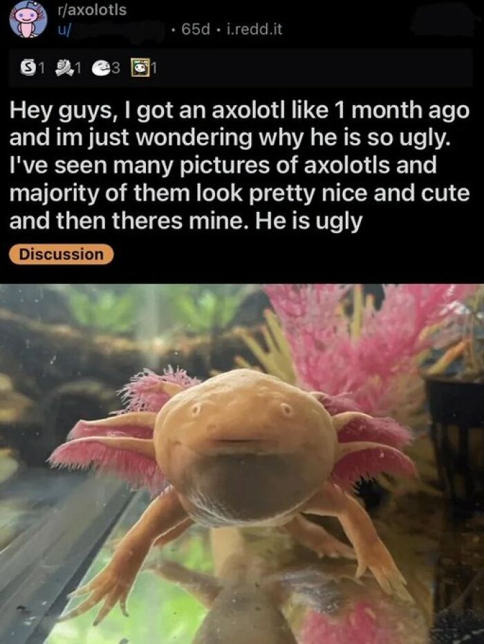 62 Random Posts You Might Find Funny If Your Sense Of Humor Is Broken 62 Random Posts You Might Find Funny If Your Sense Of Humor Is Broken