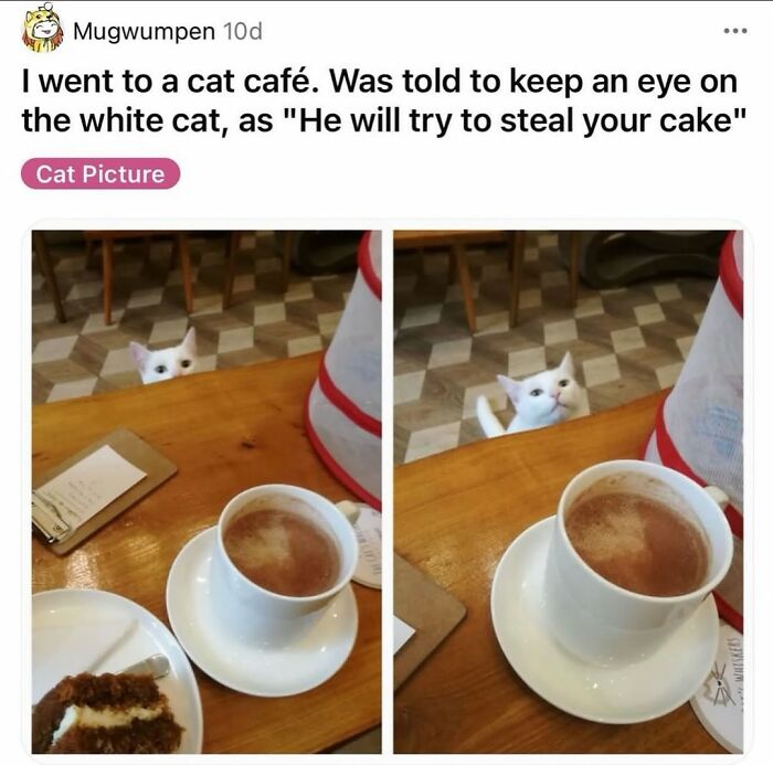 62 Random Posts You Might Find Funny If Your Sense Of Humor Is Broken 62 Random Posts You Might Find Funny If Your Sense Of Humor Is Broken