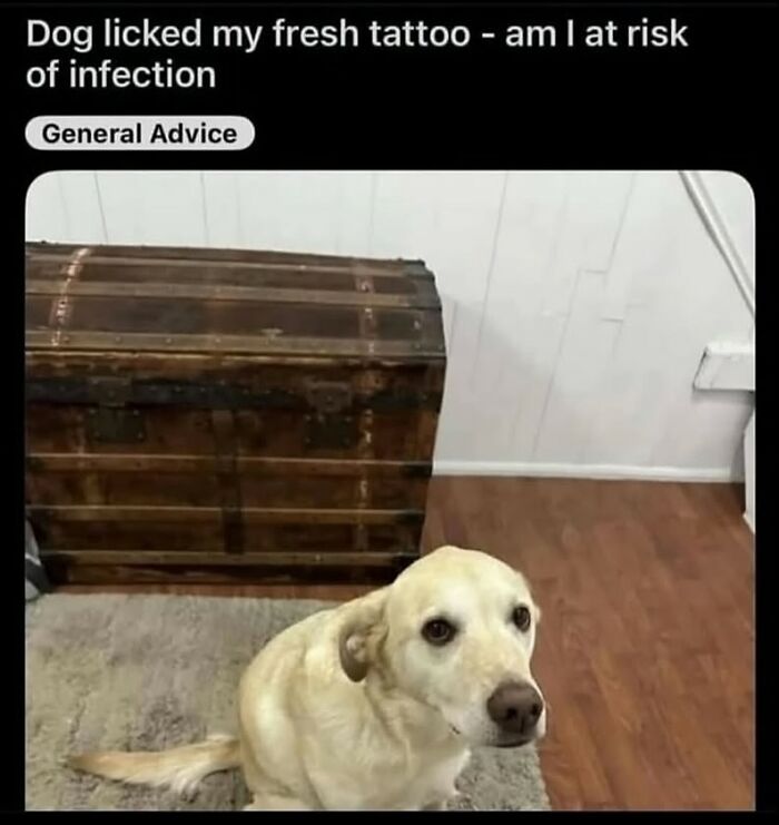 62 Random Posts You Might Find Funny If Your Sense Of Humor Is Broken 62 Random Posts You Might Find Funny If Your Sense Of Humor Is Broken