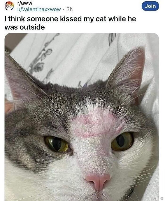 62 Random Posts You Might Find Funny If Your Sense Of Humor Is Broken 62 Random Posts You Might Find Funny If Your Sense Of Humor Is Broken