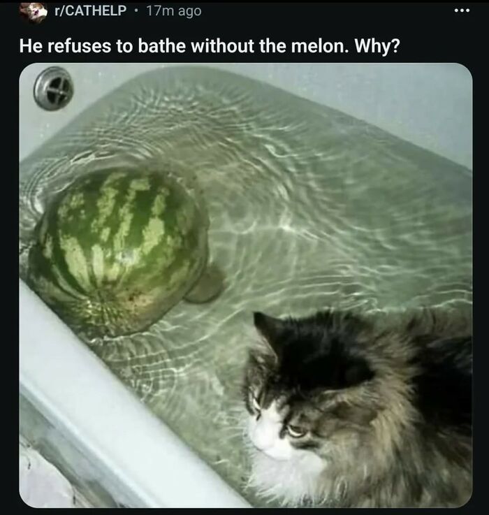 62 Random Posts You Might Find Funny If Your Sense Of Humor Is Broken 62 Random Posts You Might Find Funny If Your Sense Of Humor Is Broken