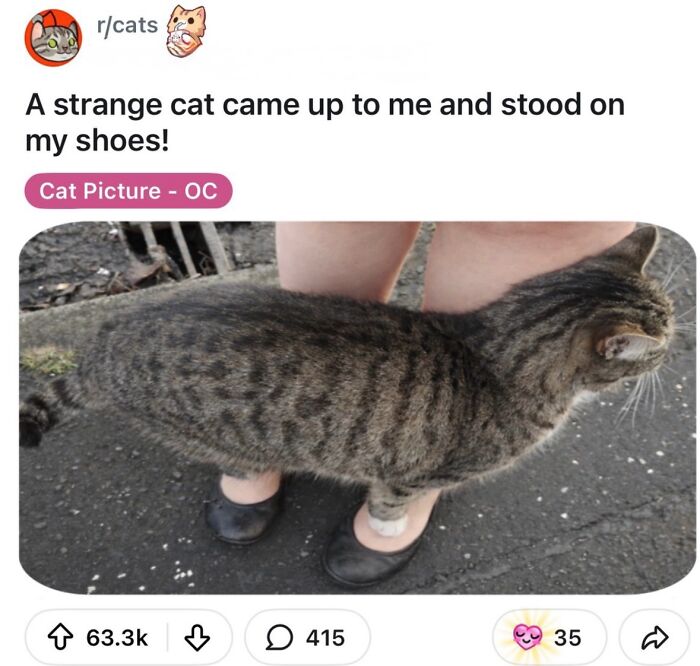 62 Random Posts You Might Find Funny If Your Sense Of Humor Is Broken 62 Random Posts You Might Find Funny If Your Sense Of Humor Is Broken