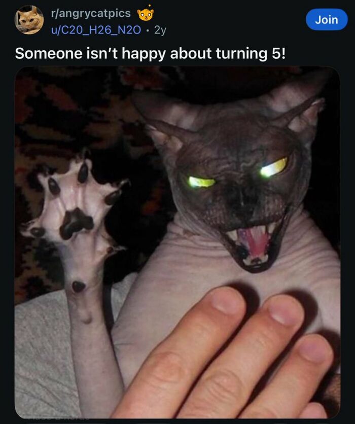 62 Random Posts You Might Find Funny If Your Sense Of Humor Is Broken 62 Random Posts You Might Find Funny If Your Sense Of Humor Is Broken