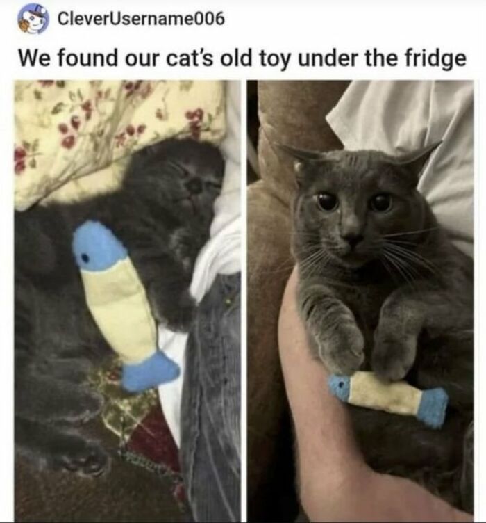 62 Random Posts You Might Find Funny If Your Sense Of Humor Is Broken 62 Random Posts You Might Find Funny If Your Sense Of Humor Is Broken
