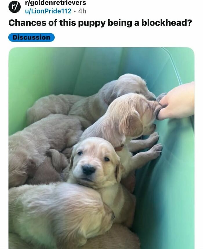 62 Random Posts You Might Find Funny If Your Sense Of Humor Is Broken 62 Random Posts You Might Find Funny If Your Sense Of Humor Is Broken