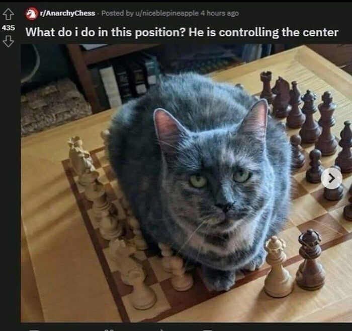 62 Random Posts You Might Find Funny If Your Sense Of Humor Is Broken 62 Random Posts You Might Find Funny If Your Sense Of Humor Is Broken