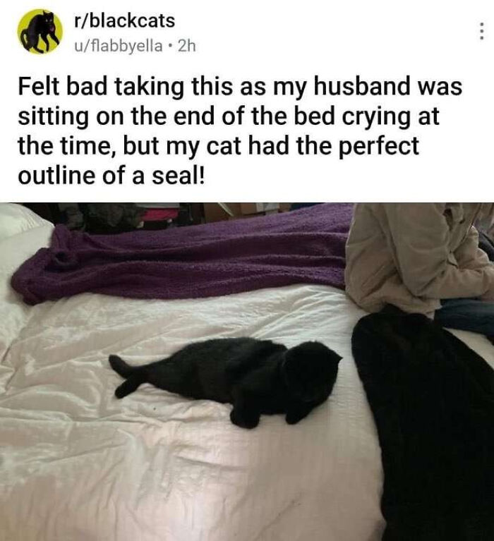 62 Random Posts You Might Find Funny If Your Sense Of Humor Is Broken 62 Random Posts You Might Find Funny If Your Sense Of Humor Is Broken