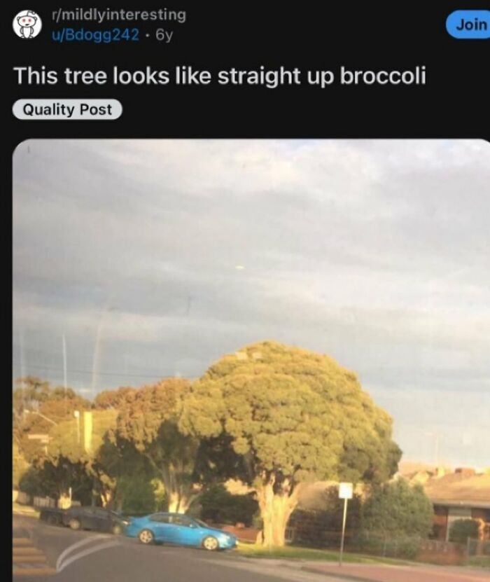 62 Random Posts You Might Find Funny If Your Sense Of Humor Is Broken 62 Random Posts You Might Find Funny If Your Sense Of Humor Is Broken