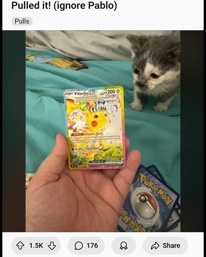 62 Random Posts You Might Find Funny If Your Sense Of Humor Is Broken 62 Random Posts You Might Find Funny If Your Sense Of Humor Is Broken