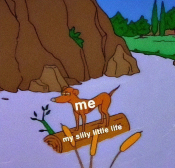 “Look, I Have A Meme To Show You”: 87 Memes You Might Want To Send Your Friends (New Pics)